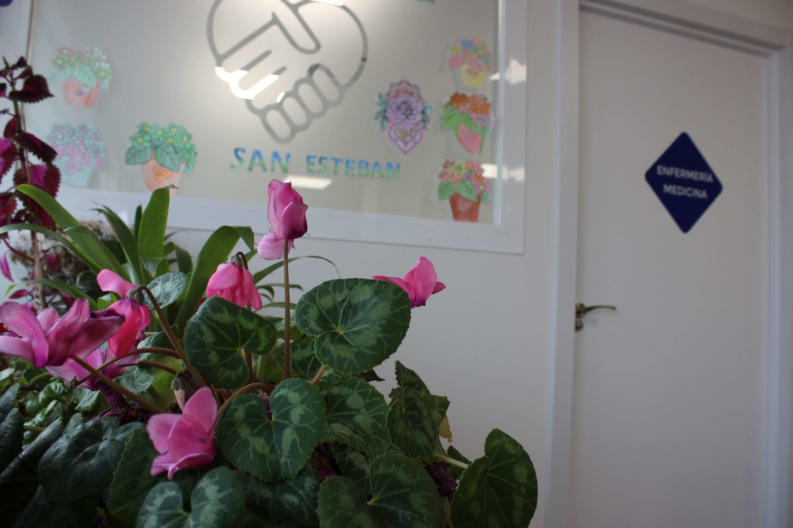 centro-de-dia-san-esteban-3f7010(1)